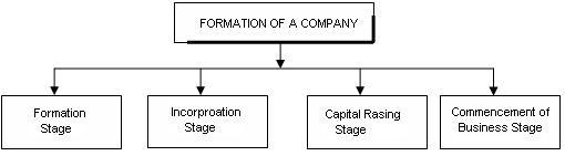 formation of company assignment